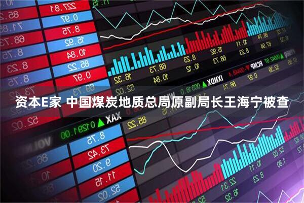 资本E家 中国煤炭地质总局原副局长王海宁被查
