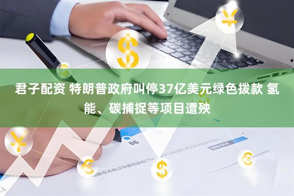 君子配资 特朗普政府叫停37亿美元绿色拨款 氢能、碳捕捉等项目遭殃