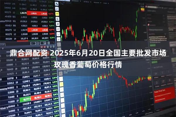 鼎合网配资 2025年6月20日全国主要批发市场玫瑰香葡萄价格行情