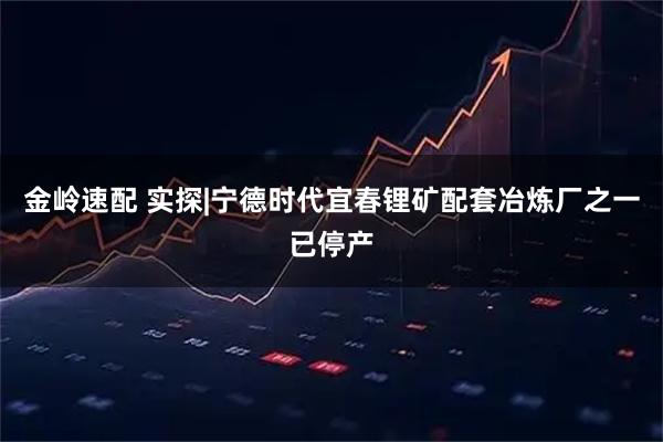 金岭速配 实探|宁德时代宜春锂矿配套冶炼厂之一已停产
