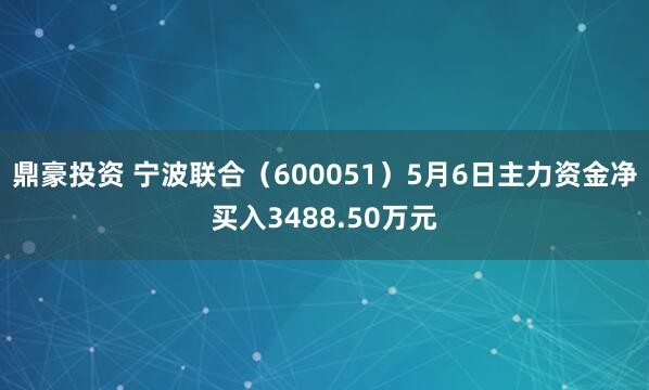 鼎豪投资 宁波联合（600051）5月6日主力资金净买入3488.50万元