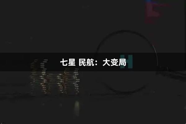 七星 民航：大变局